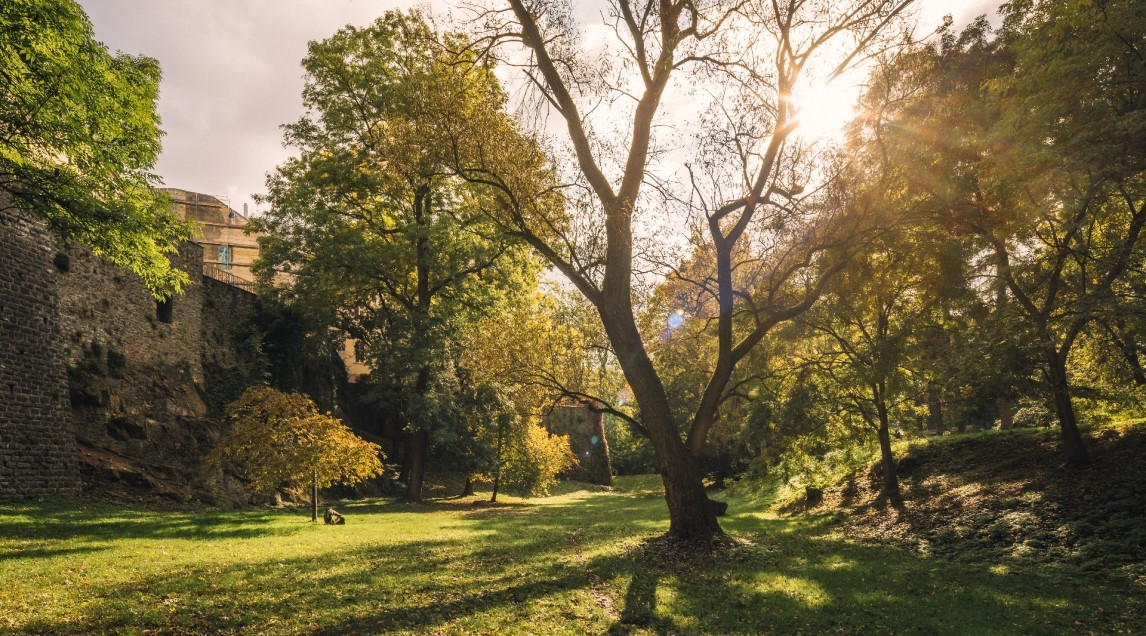 Zelené plochy v Olomouci