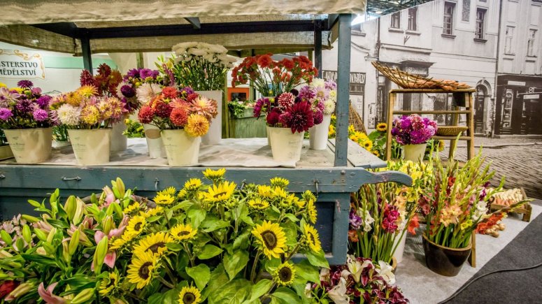 Podzimní etapa 2018 - Tržiště první republiky