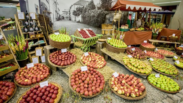 Podzimní etapa 2018 - Tržiště první republiky