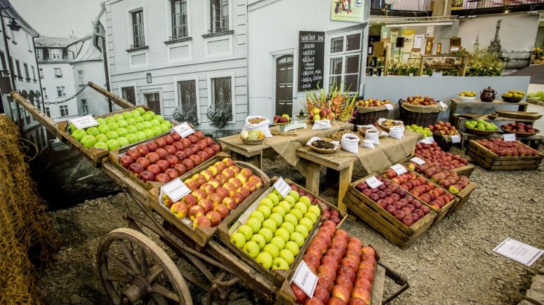 Podzimní etapa 2018 - Tržiště první republiky