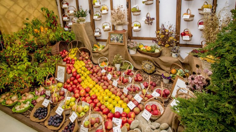 Expozice Českého zahrádkářského svazu - Zemská výstava