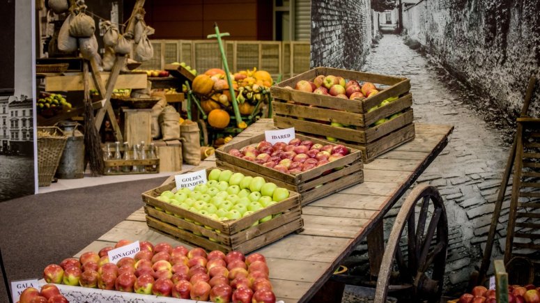 Podzimní etapa 2018 - Tržiště první republiky