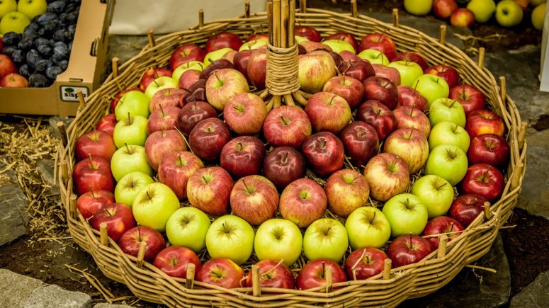 Podzimní etapa 2018 - Tržiště první republiky