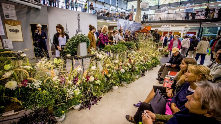 Pohár podzimní Flory