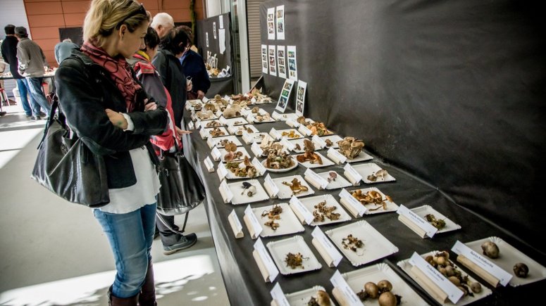 Expozice Českého zahrádkářského svazu - Zemská výstava