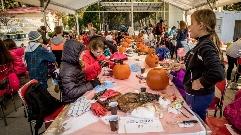 Dýňodlabání 2018