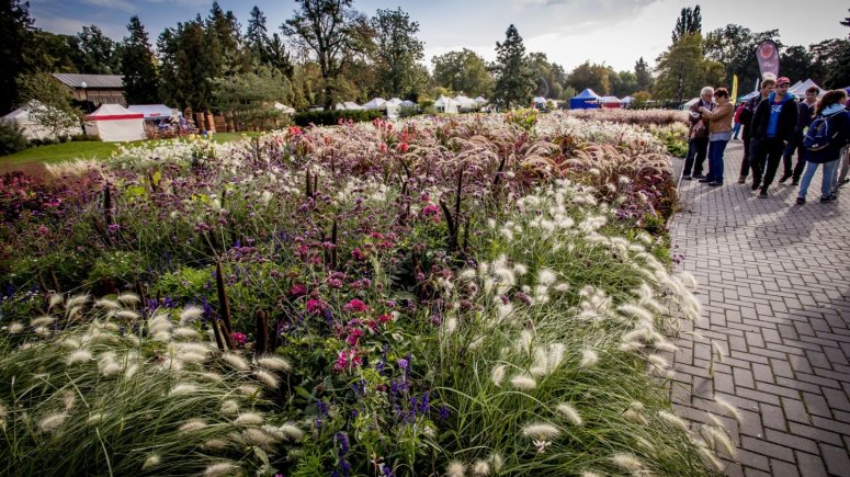 Expoziční záhony ve Smetanových sadech