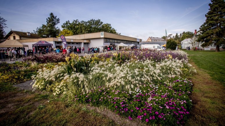 Expoziční záhony ve Smetanových sadech