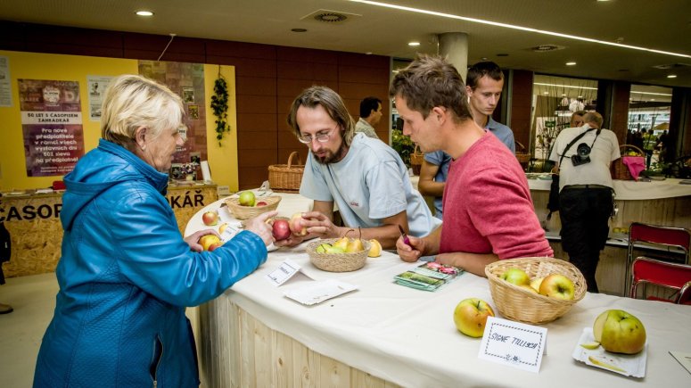 Expozice Českého zahrádkářského svazu - Zemská výstava