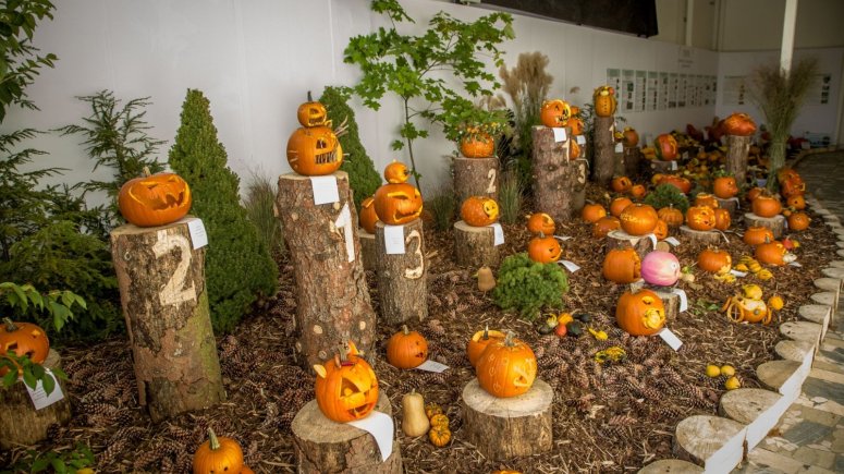 Dýňodlabání 2018